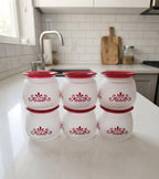 300 ML Frosted Storage Jar with Maroon Floral Design
