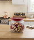 300 ML Frosted Storage Jar with Maroon Floral Design