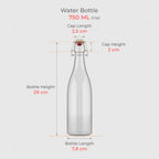 750 ML Clip Lock Glass Bottle