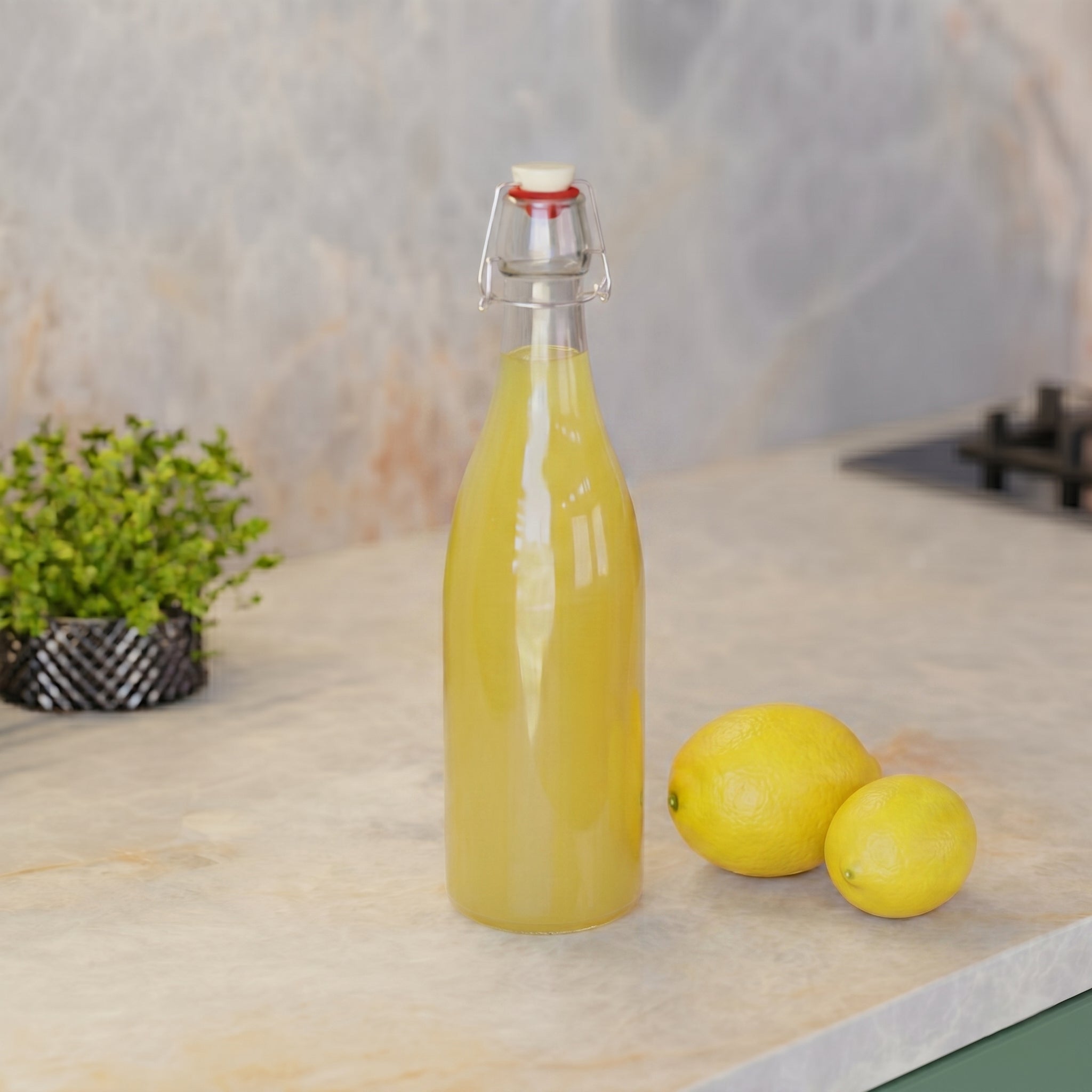 750 ML Clip Lock Glass Bottle