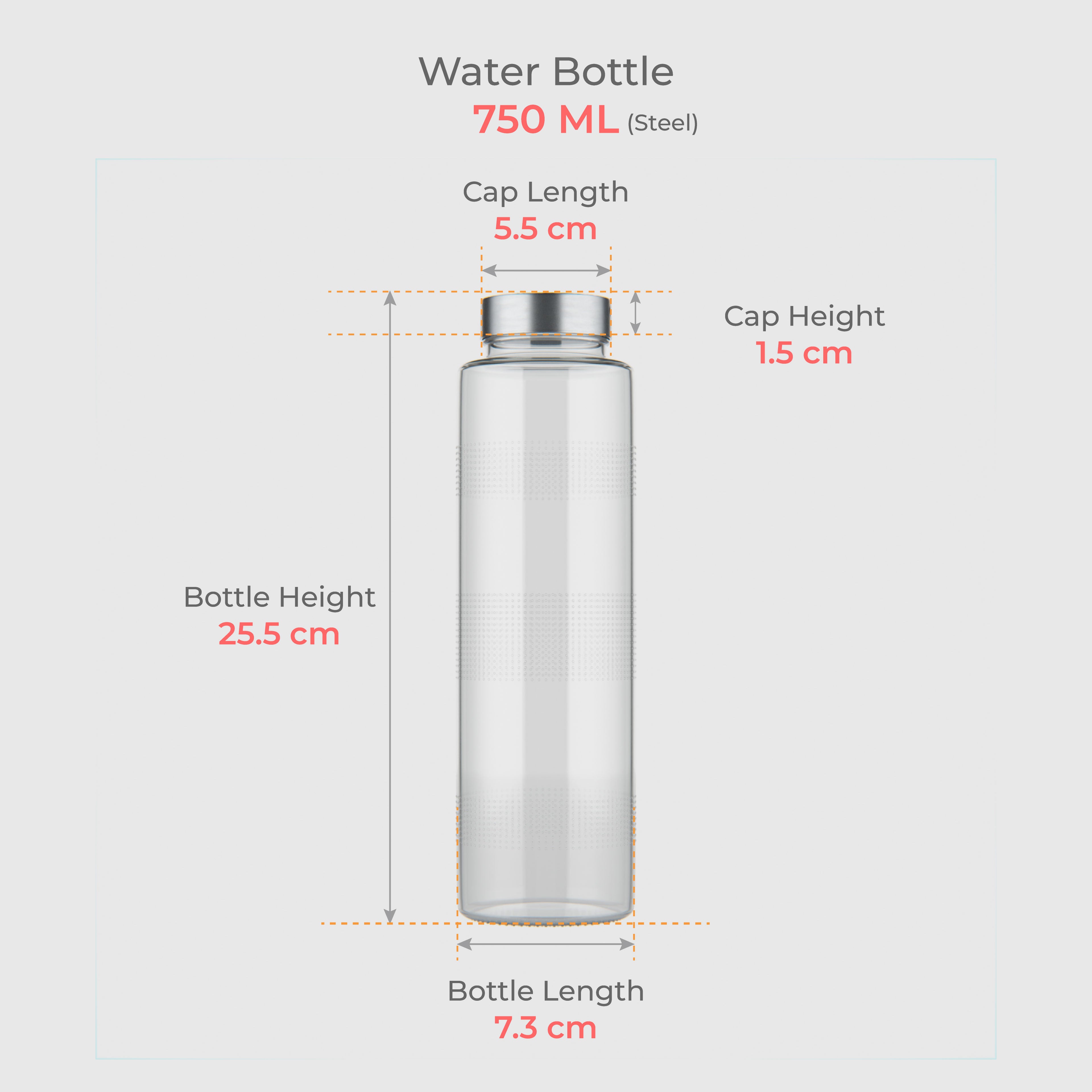 750 ML Glass Water Bottle with Steel & Black Cap